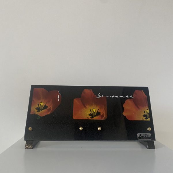 V-PF-8006EF_NBF_T2