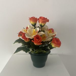 V-FP-POTEE-9520