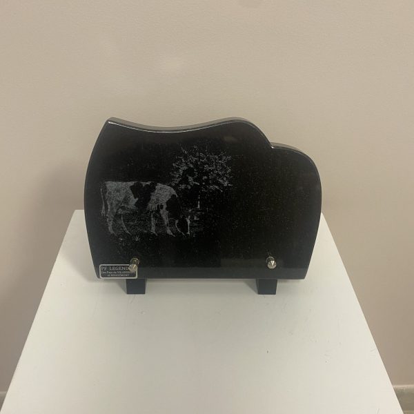 C-PA-PGL15*21-015
