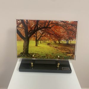 C-PF-ACG07108.2-CC