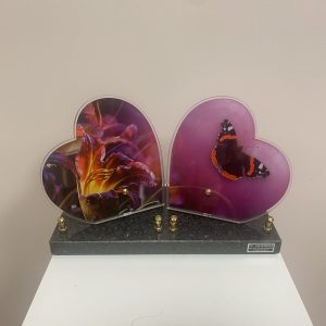 C-PF-ACJ1308.2-CC