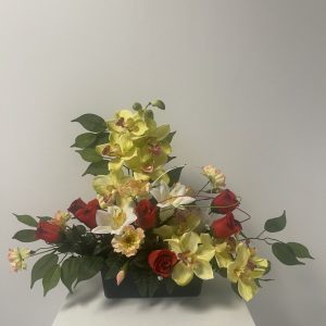 V-JARDI-509