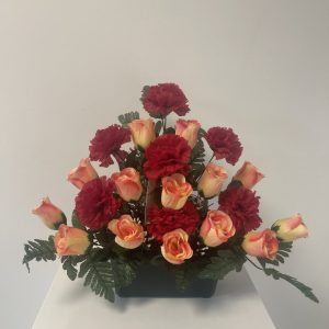 V-JARDI-488