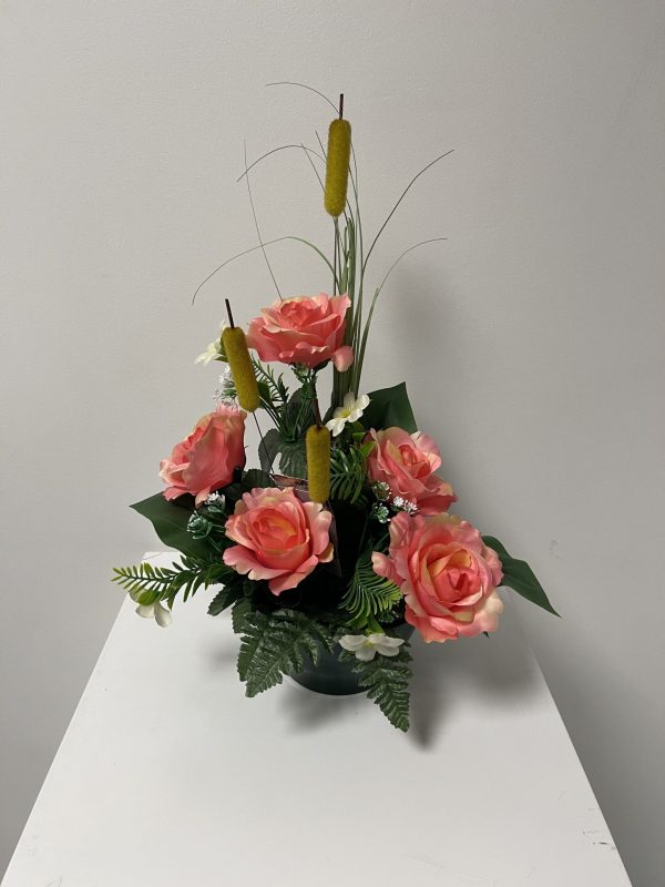 V-COUPE-618-Rose