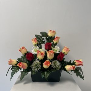 V-JARDI-249-1
