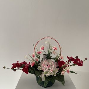 V-COUPE-246-Rouge-Blanc