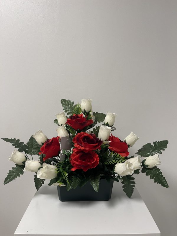 V-JARDI_1811-2
